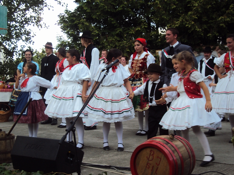 DSC02224.JPG