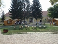DSCF9685