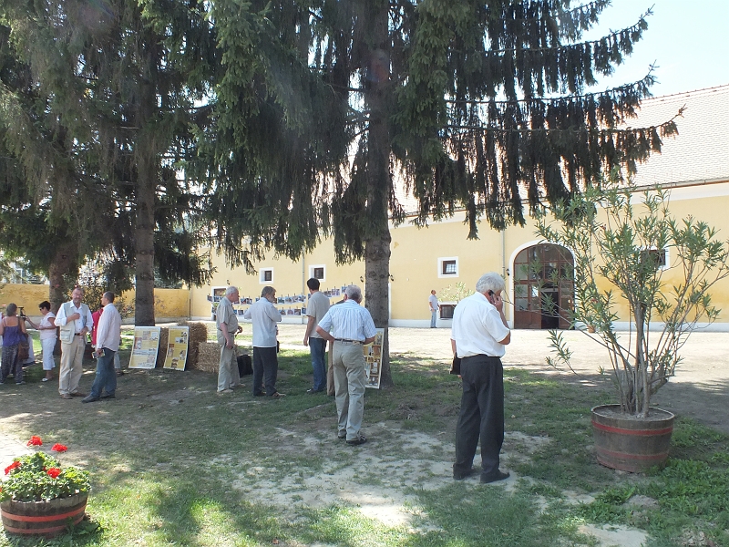 DSCF9607.JPG