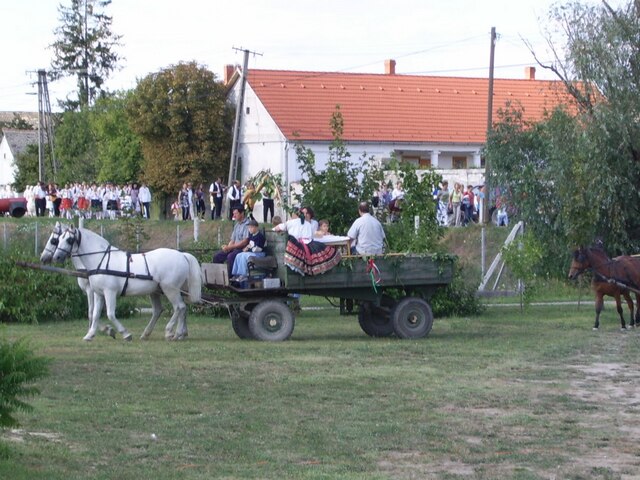 image5.jpg
