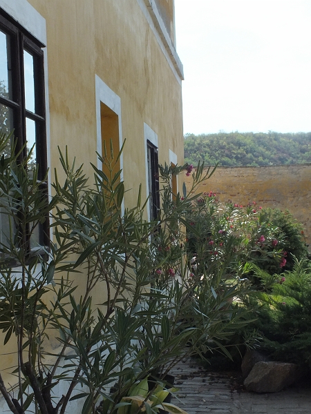 DSCF9590.JPG