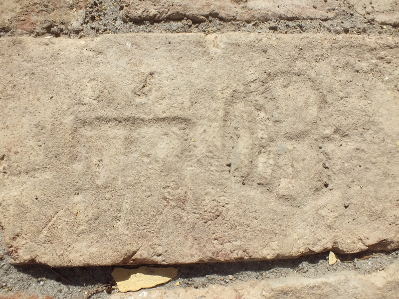 DSCF9599.JPG